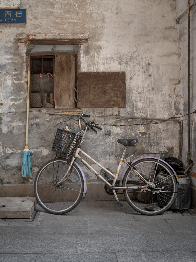 cat on a bike in China