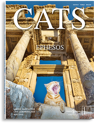 Cats of Ephesos