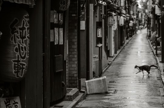 Kyoto Japan