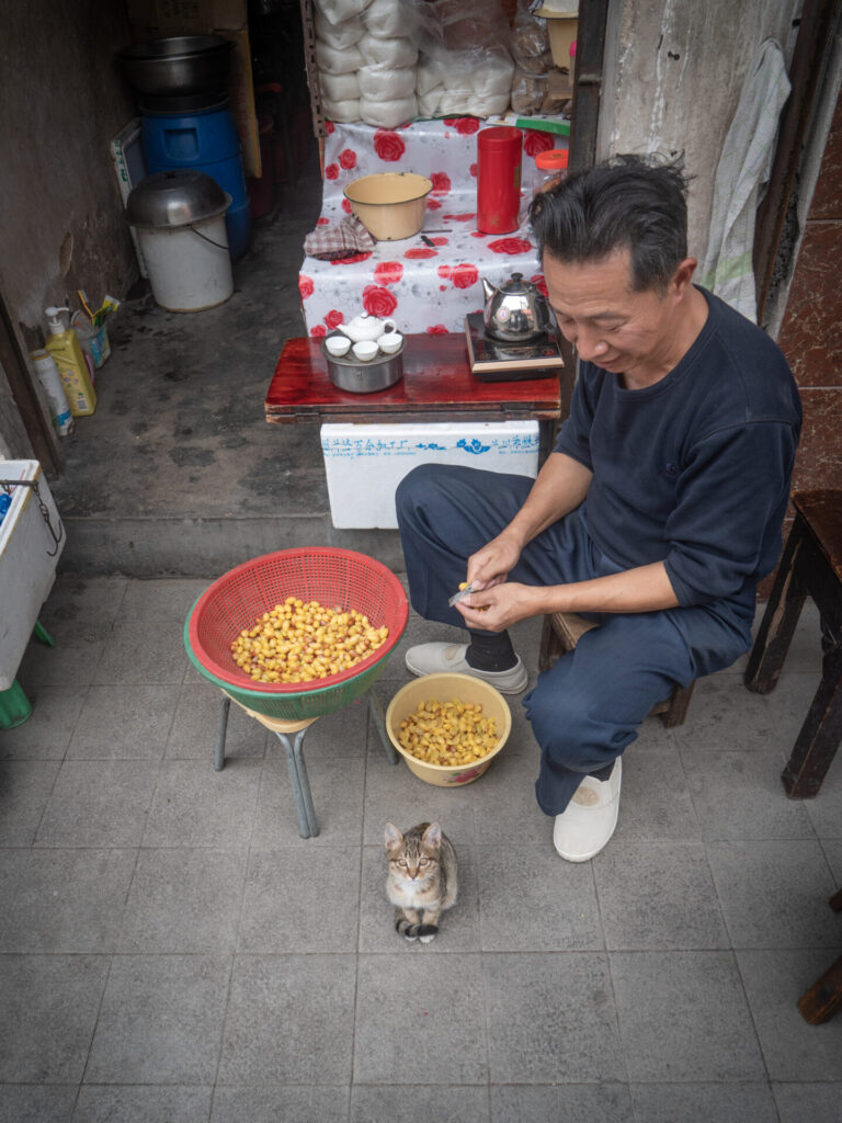 Chinese cat