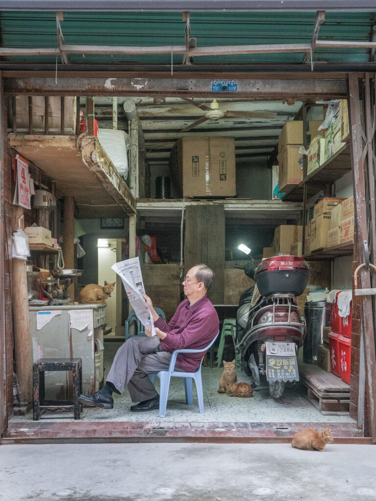 Chinese shop cats