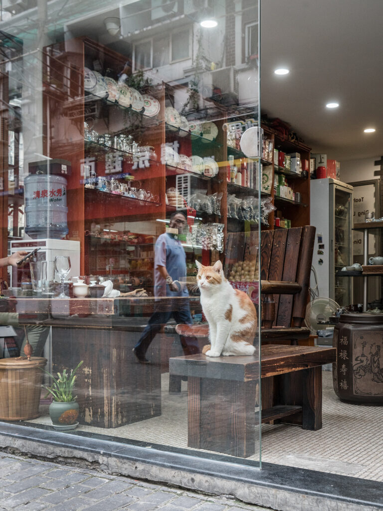 Chinese shop window