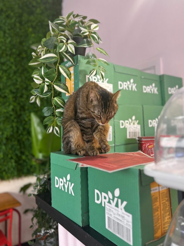 Dryk barista oat milk