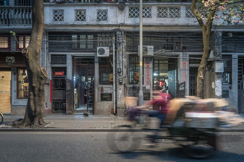 Marcel Heijnen Shop Cats of China