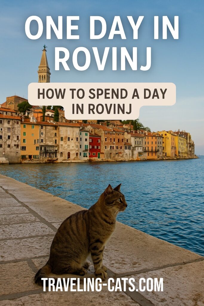 one day in Rovinj