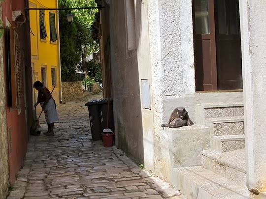 Rovinj