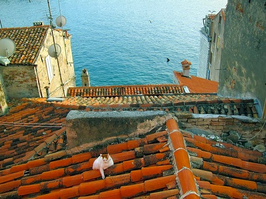 rovinj croatia