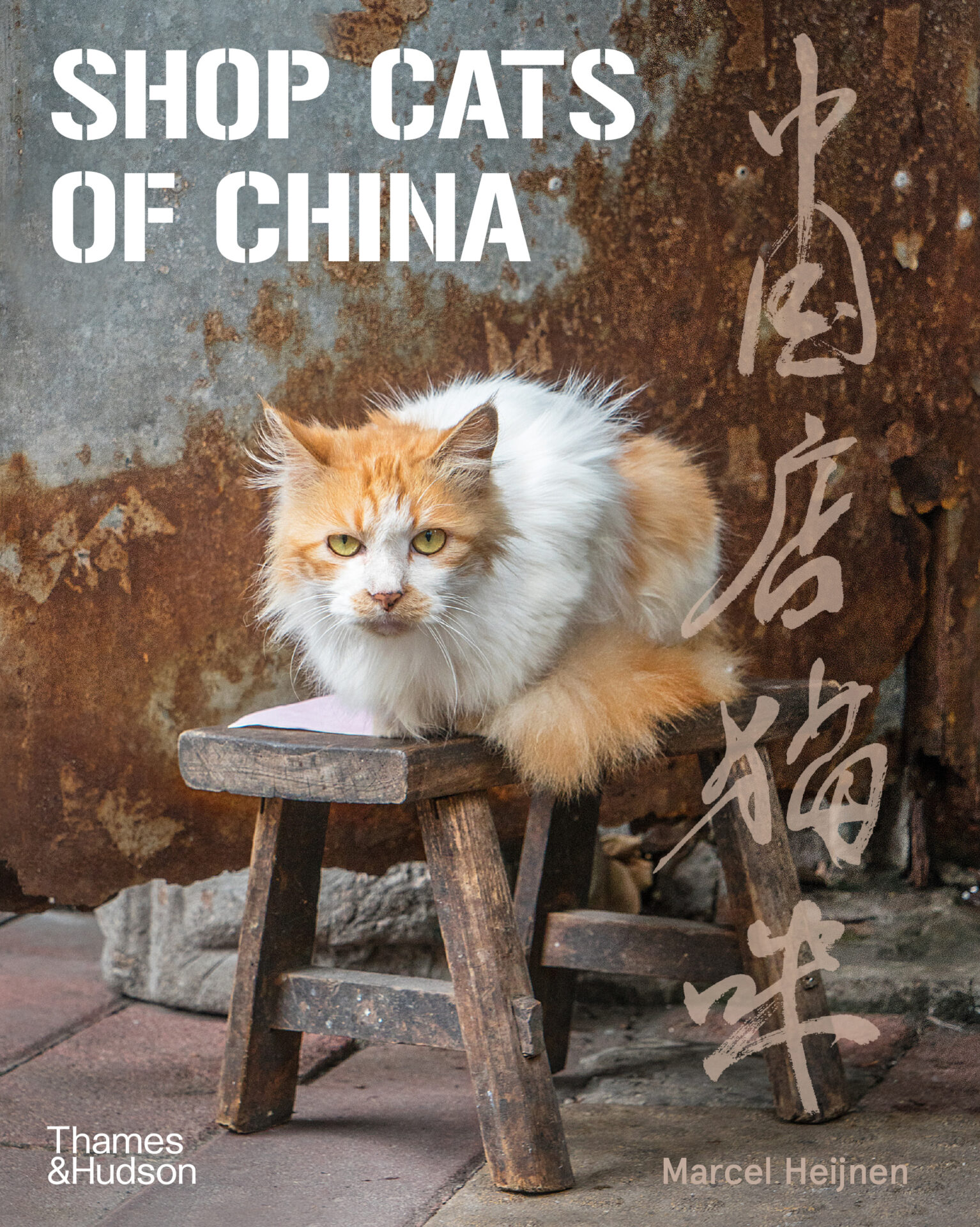 Shop Cats of China book cover