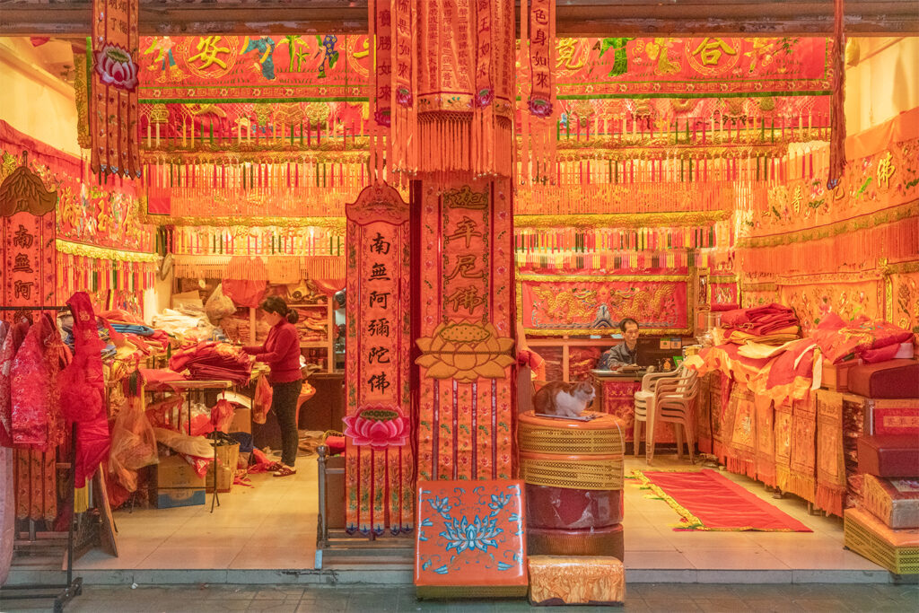 Shop cat from China