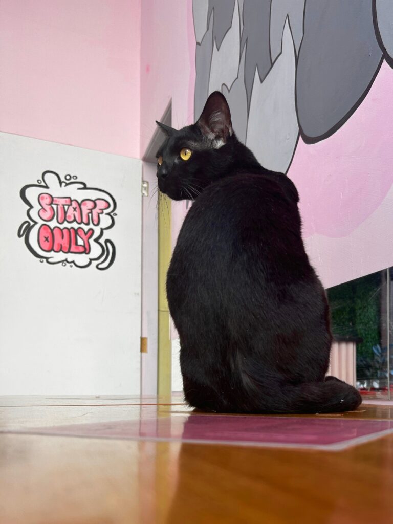 staff only