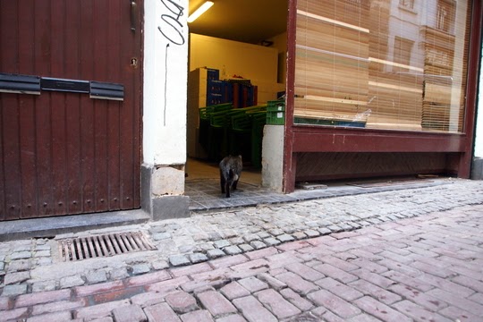Rue des Dominicains