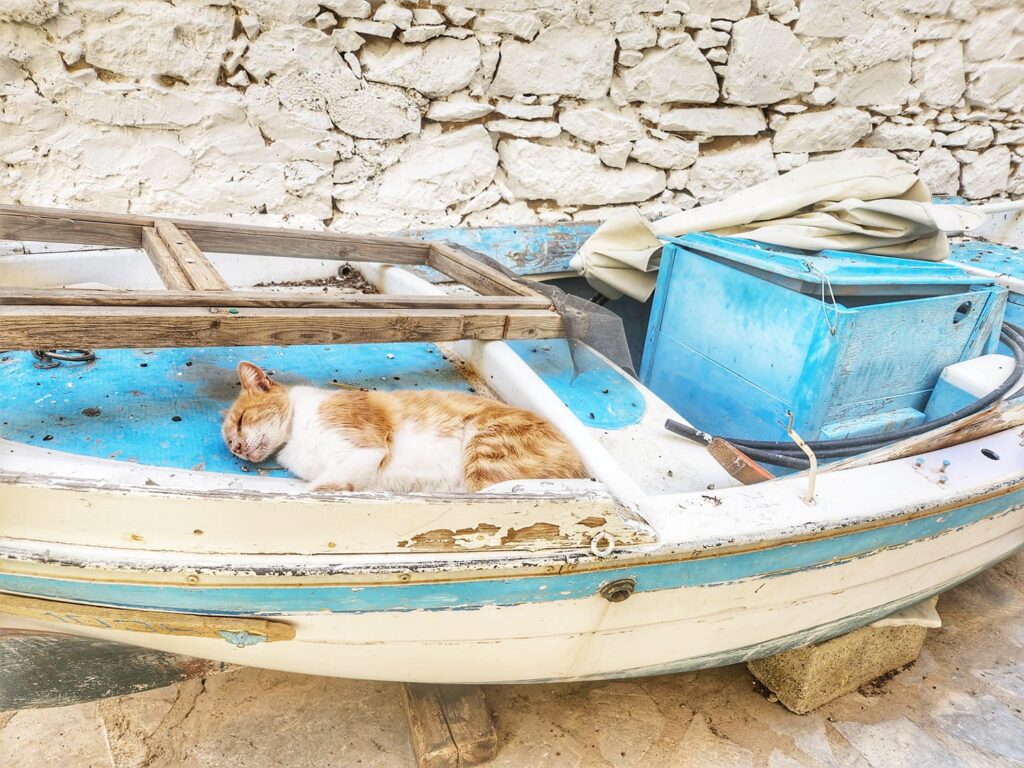Symi cat boat