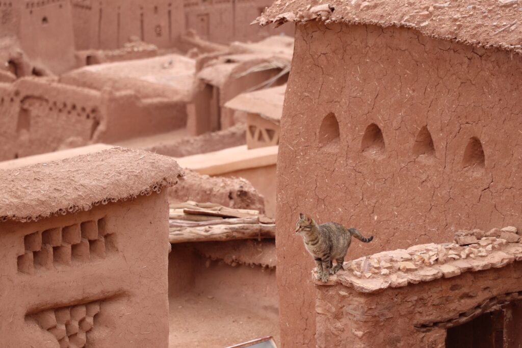 Aït-Ben-Haddou Morocco