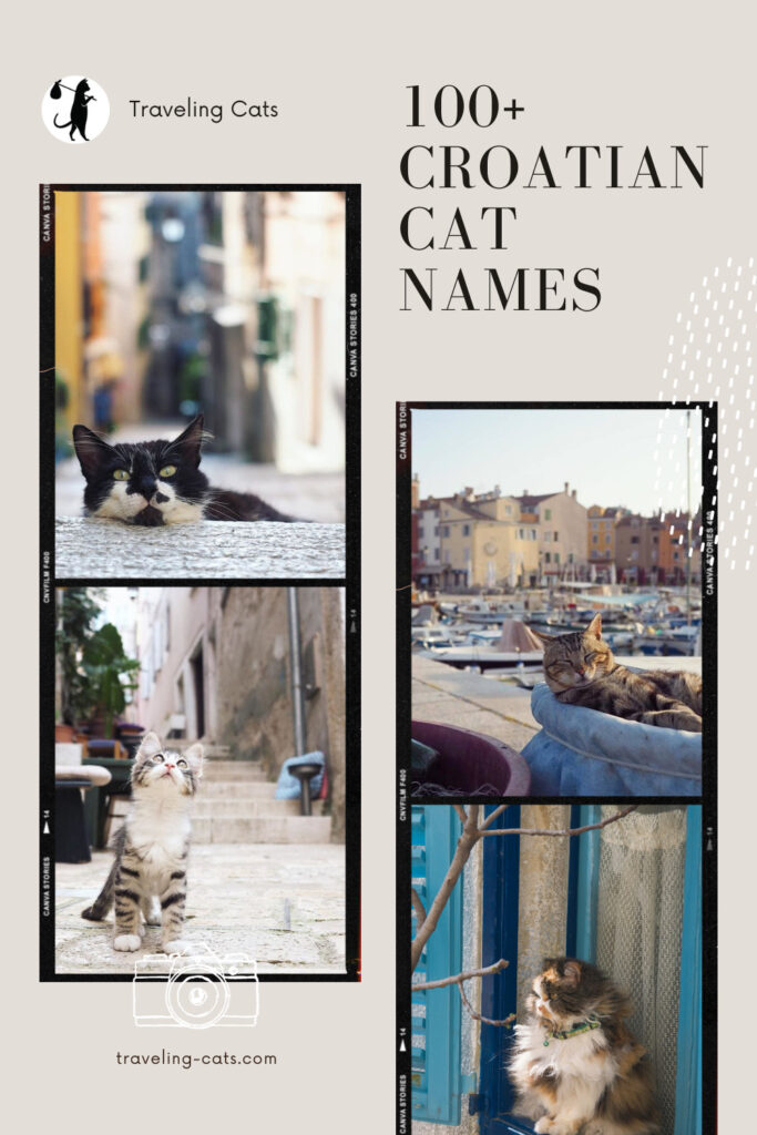cat names Croatia