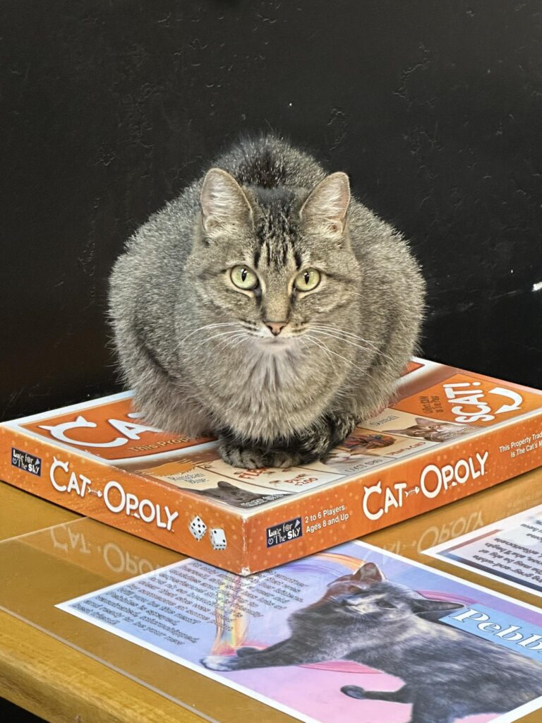 cat-opoly