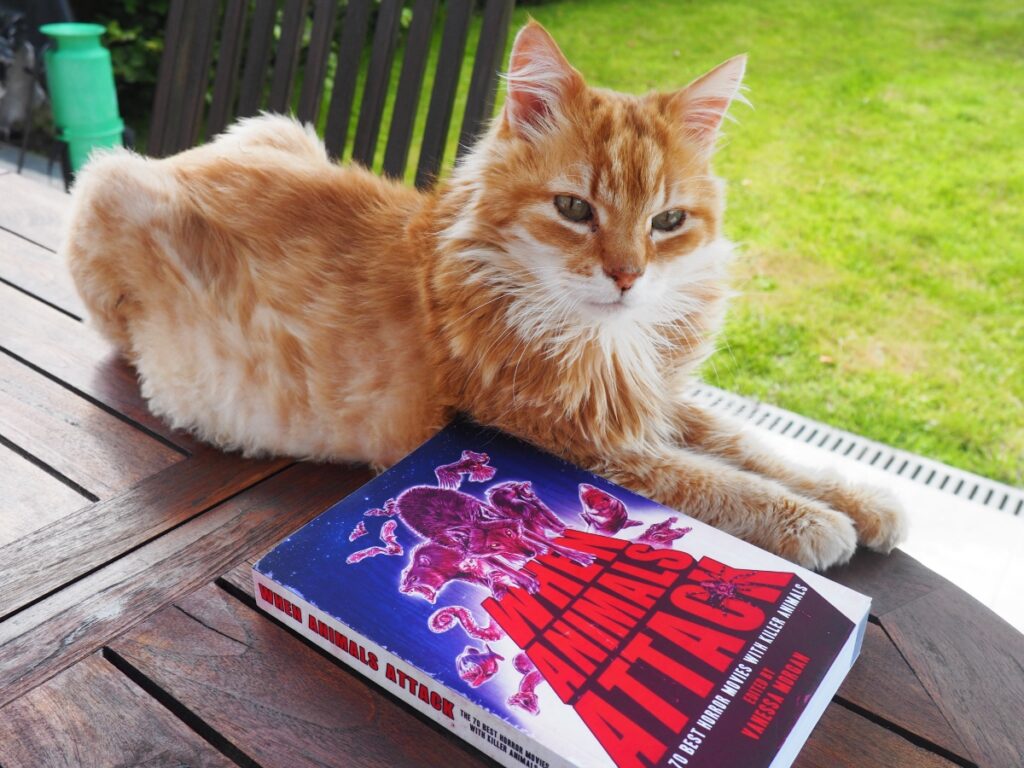 cats taking over the world