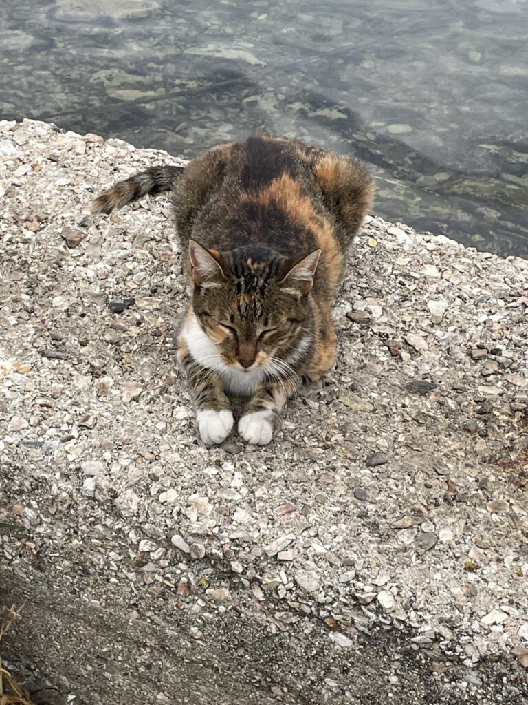 Corfu Mandy Baggot