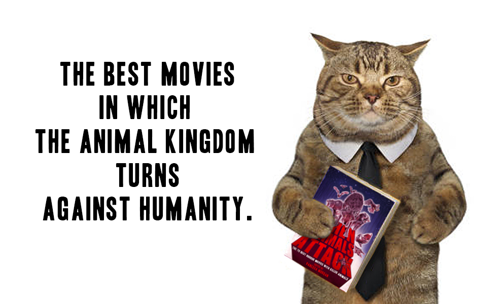 favorite movies