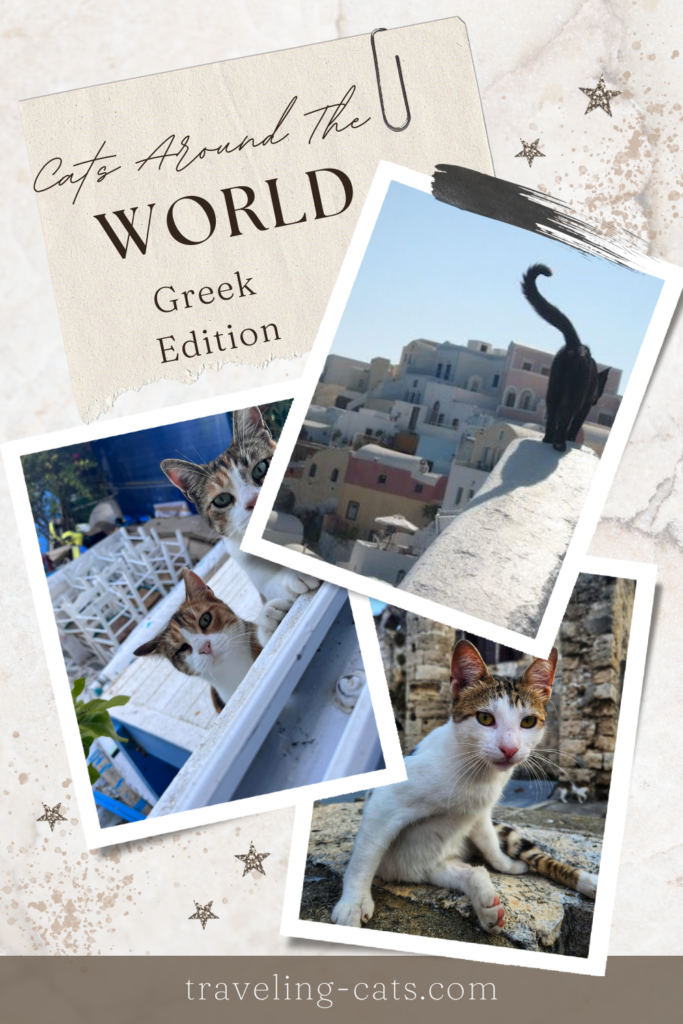 Greek cats
