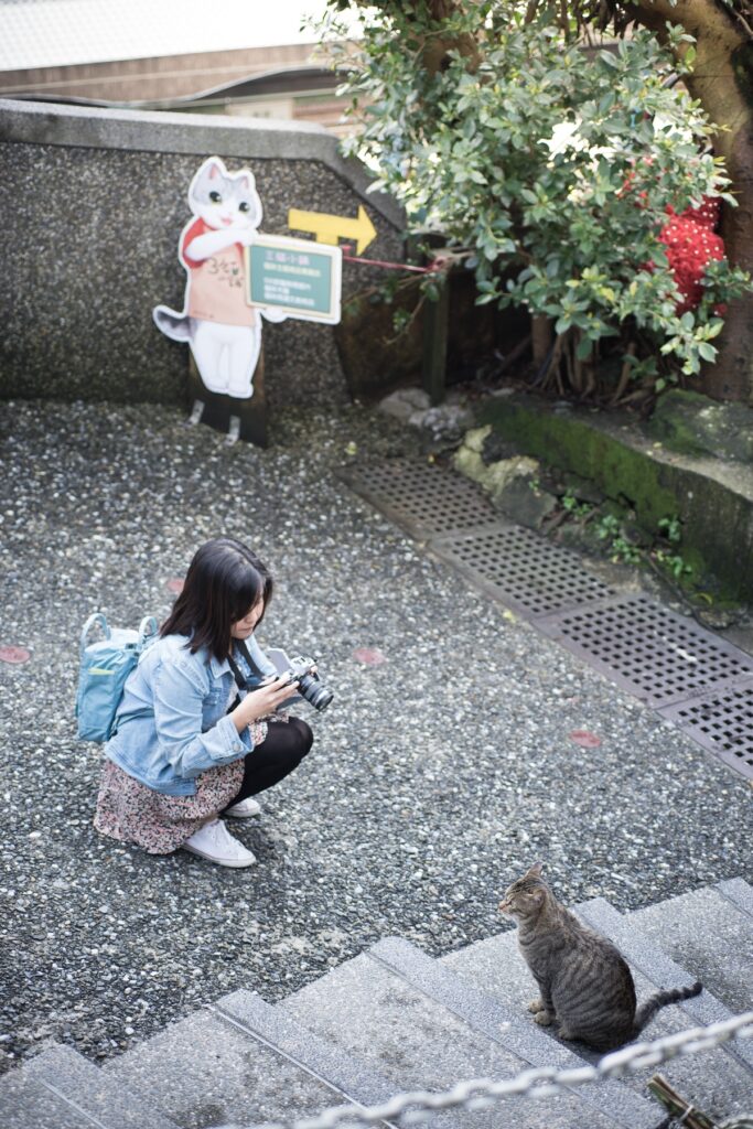 Houtong Cat Village photography