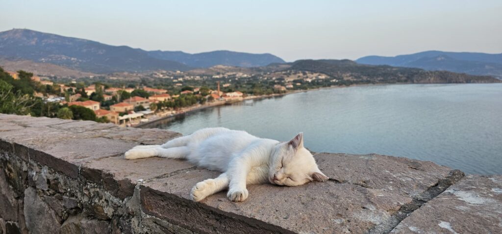 Molyvos viewpoint