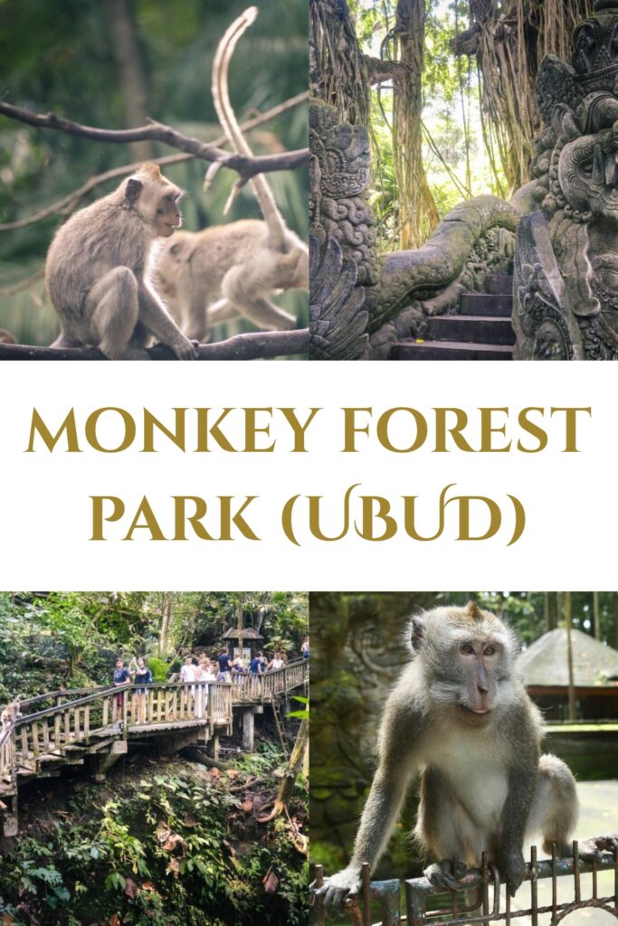 Monkey Forest Sanctuary Padangtegal Ubud Bali