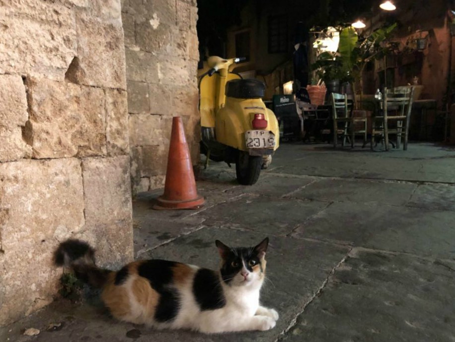 Old City of Rhodes