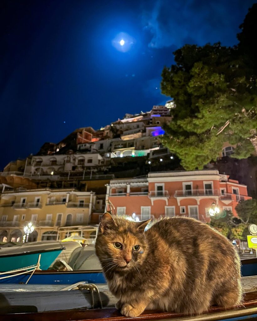 Positano by night