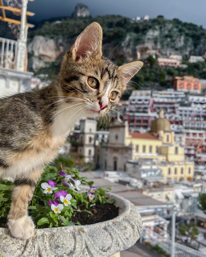 Positano itinerary