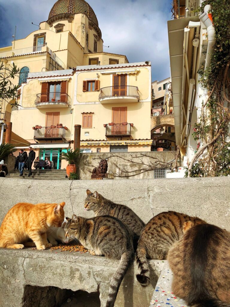 Positano sightseeing itinerary