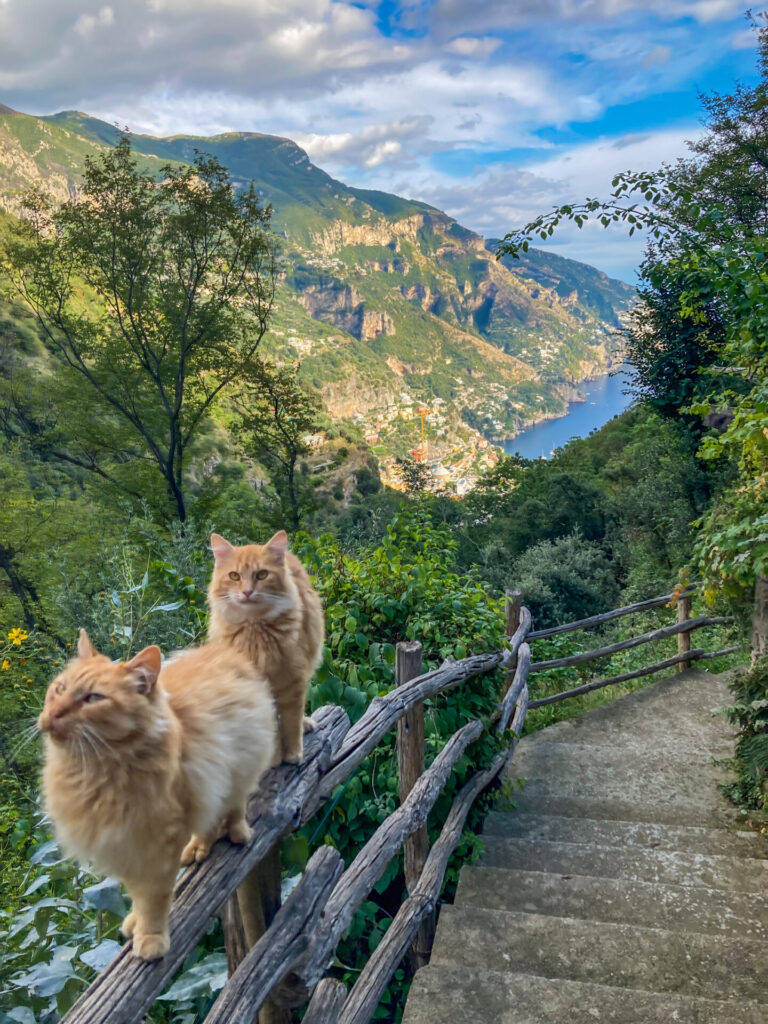 Positano Via Pestella