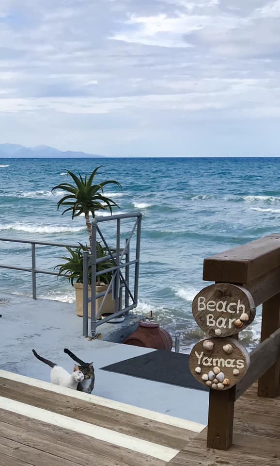 Thomas Elena beach bar Agassi Zakynthos