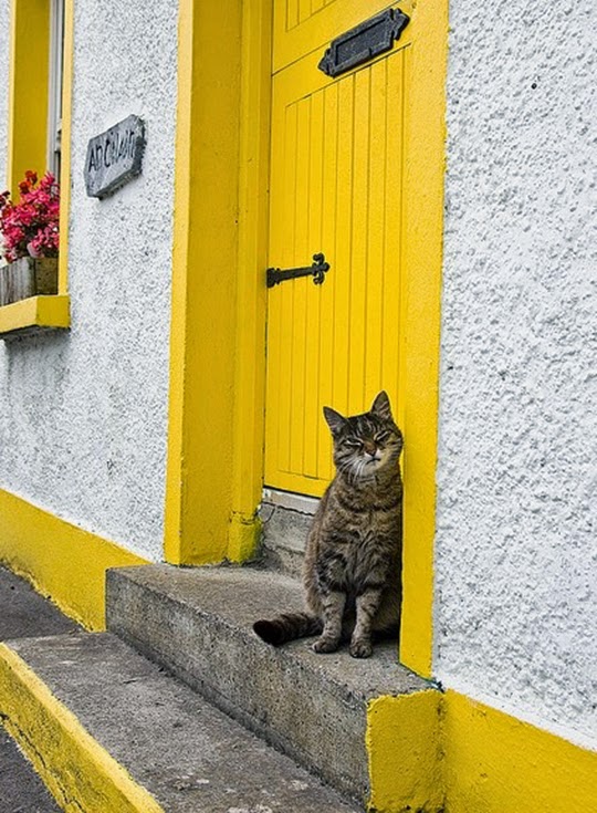 yellow front door