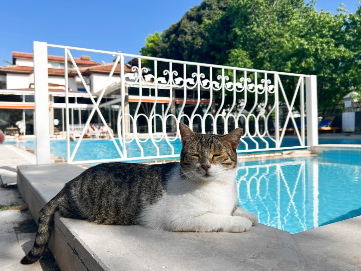 Dalyan Basar Hotel