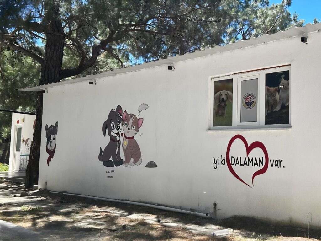 Dalaman Animal Shelter