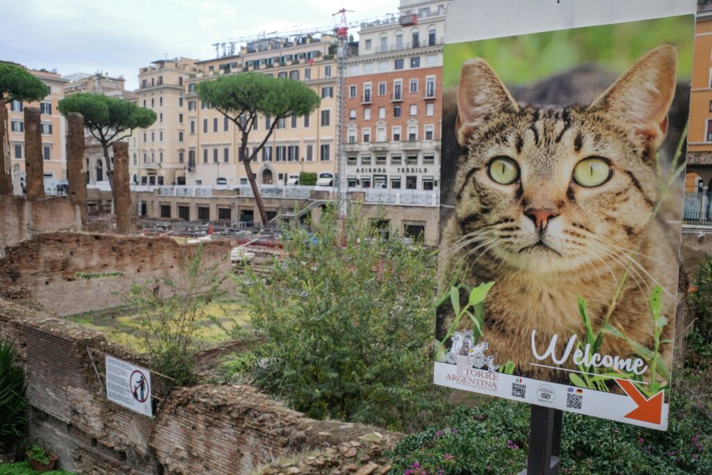 Torre Argentina Cat Sanctuary