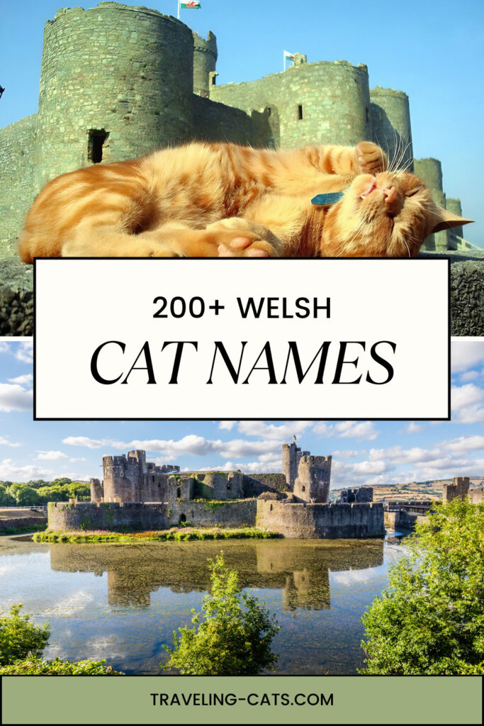 Welsh cat names