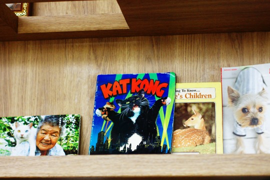 cat cafe books