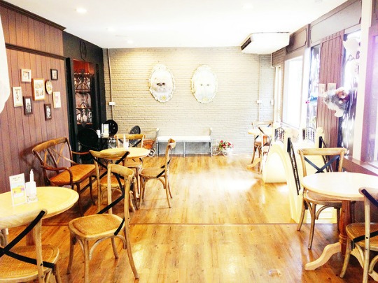 cat cafe interior