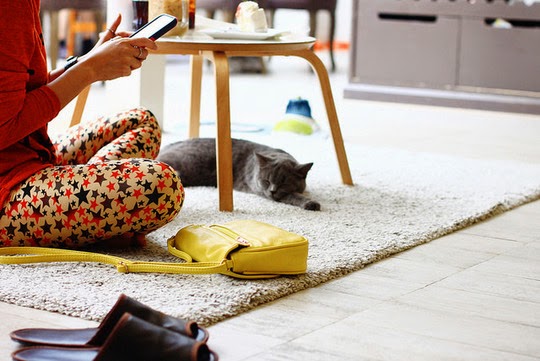 Cat Café Thailand