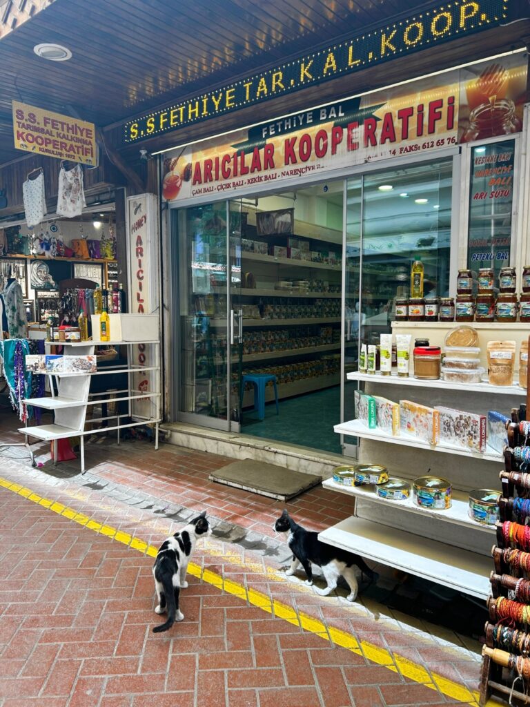 Aricilar Kooperatifi in Fethiye