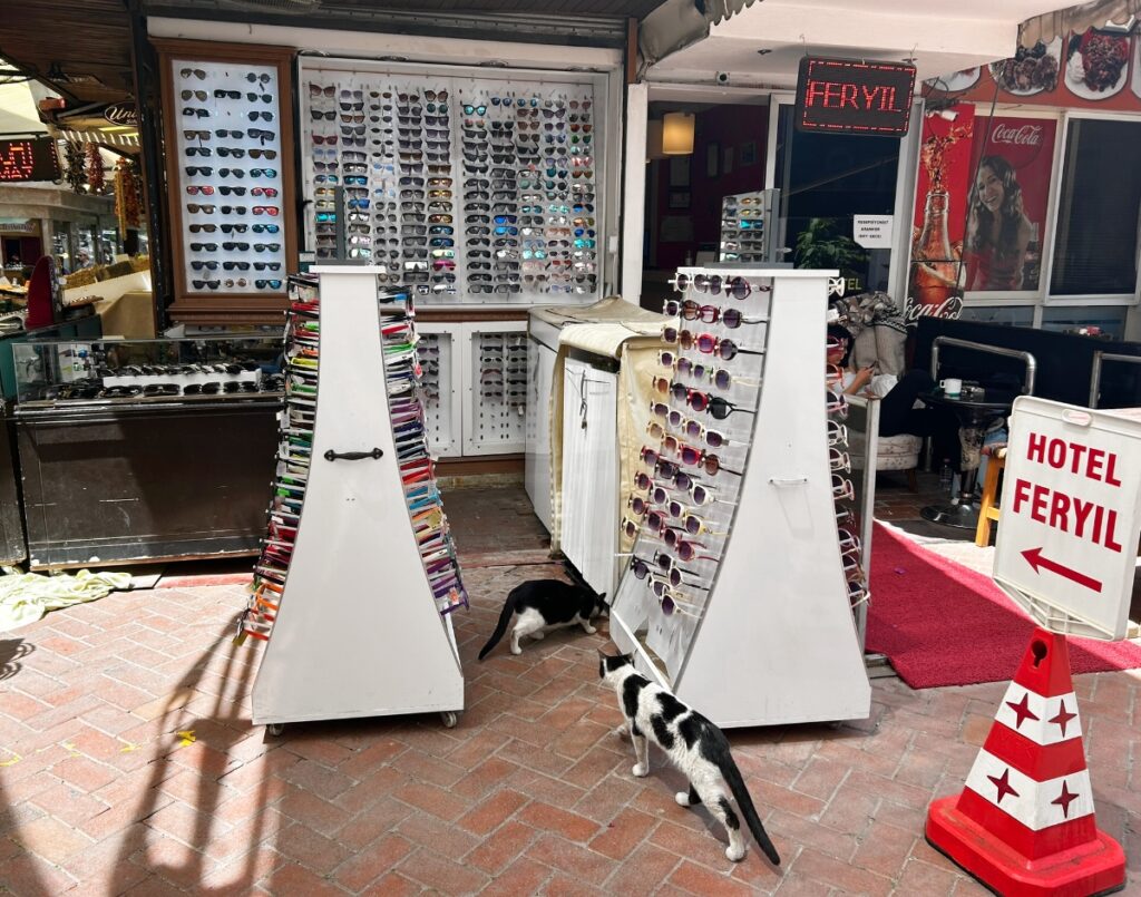 cats picking out sunglasses in a shop in front of hotel Feryil in Fethiye