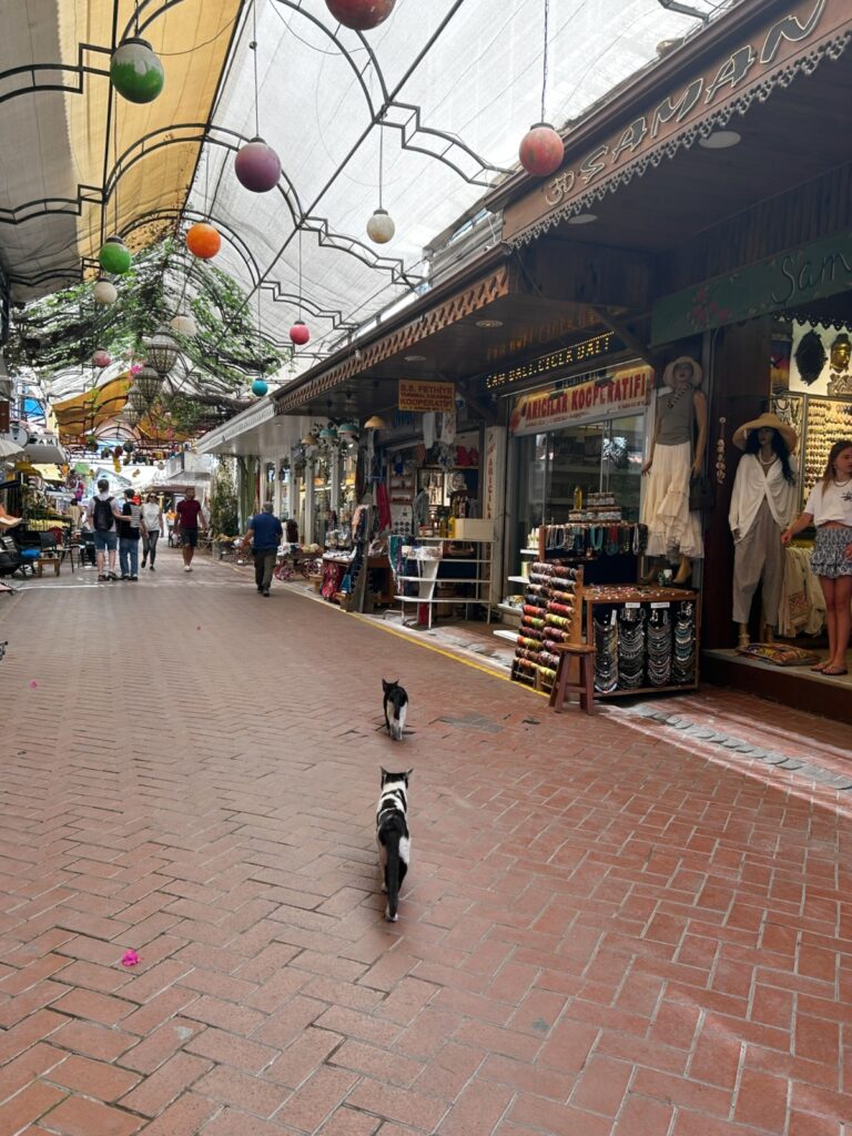 Fethiye old town