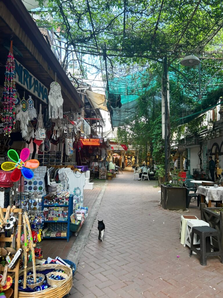 Fethiye shopping