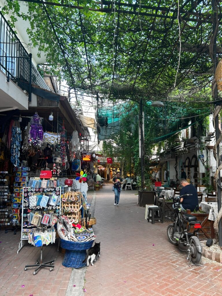 Paspatur Market in Fethiye