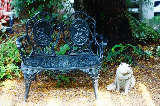 purr cat cafe bangkok