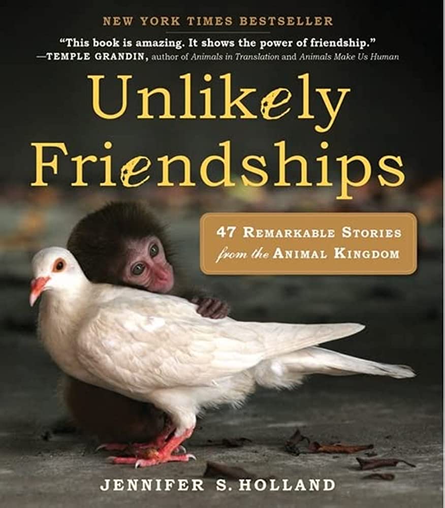 unlikely friendships