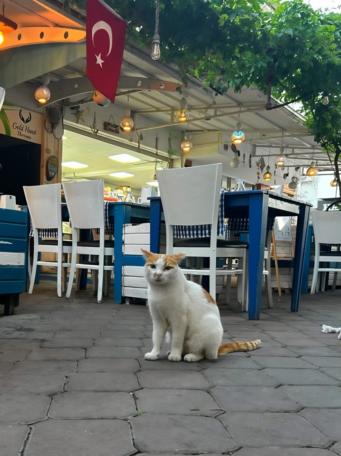 Restaurant Balikçim The Fisherman in Dalyan Turkey