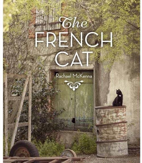 cat pictures book
