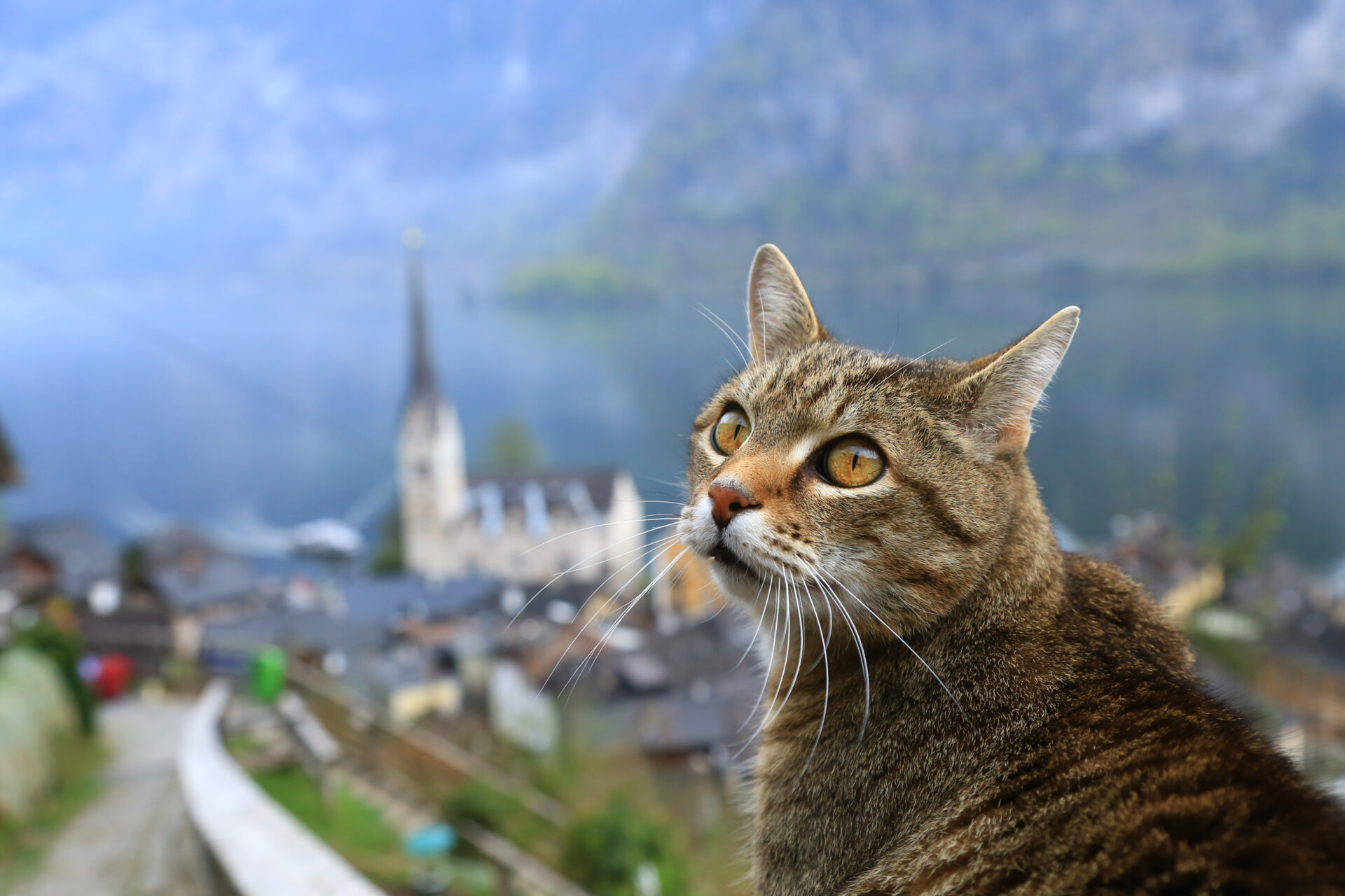 Hallstatt one day itinerary
